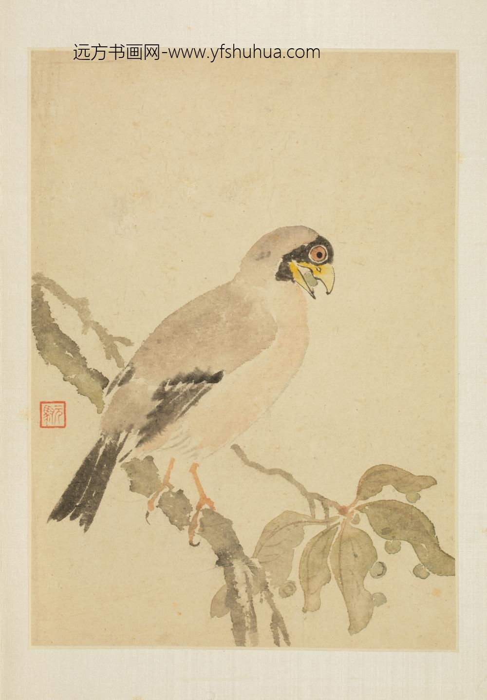 清-马元驭花鸟册-