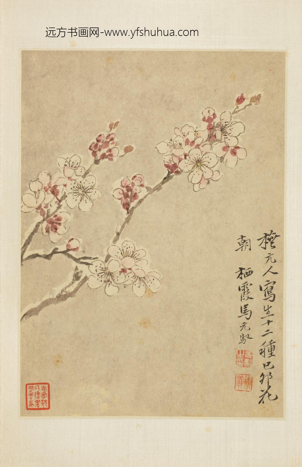 清-马元驭花鸟册-