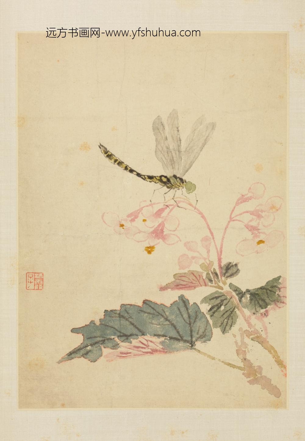 清-马元驭花鸟册-