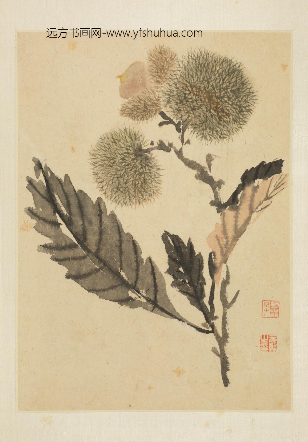 清-马元驭花鸟册-