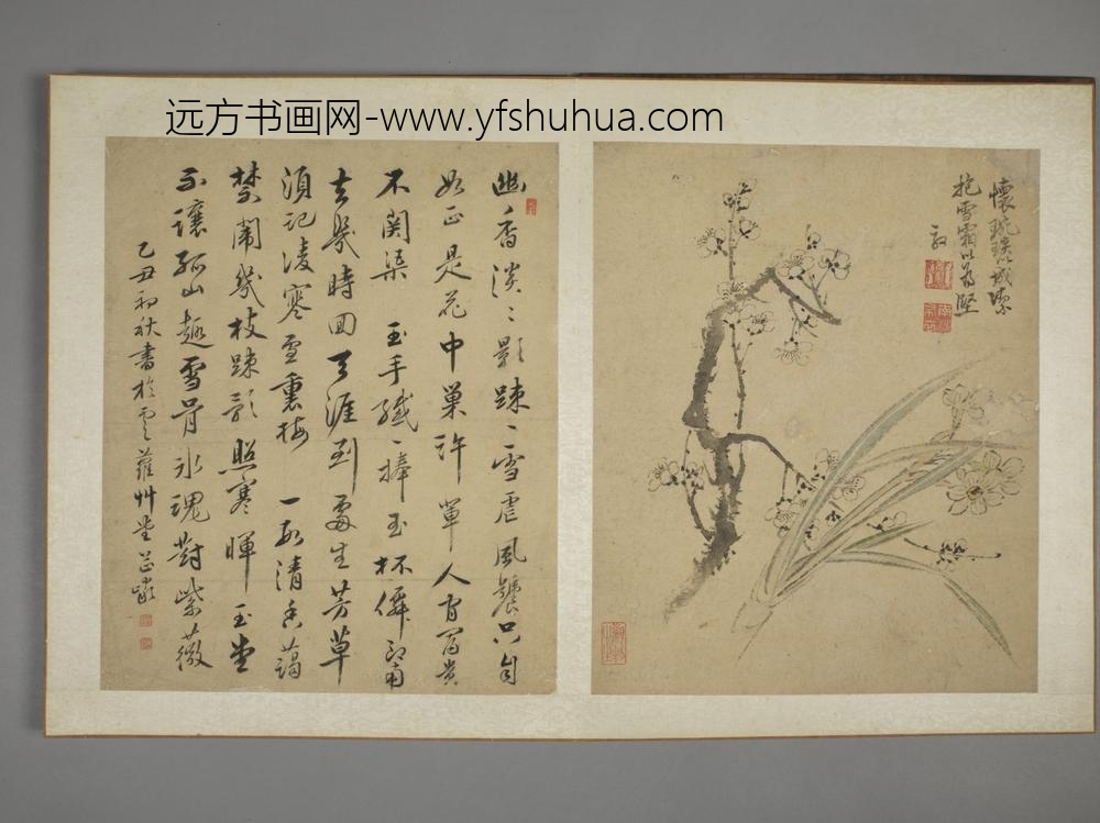 清-马元驭花鸟图册-