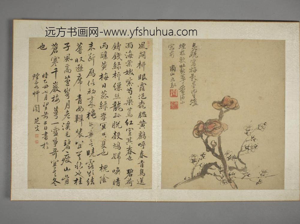 清-马元驭花鸟图册-