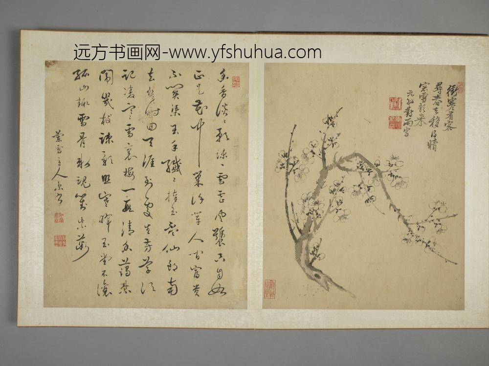 清-马元驭花鸟图册-
