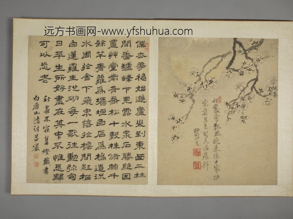 清-马元驭花鸟图册-
