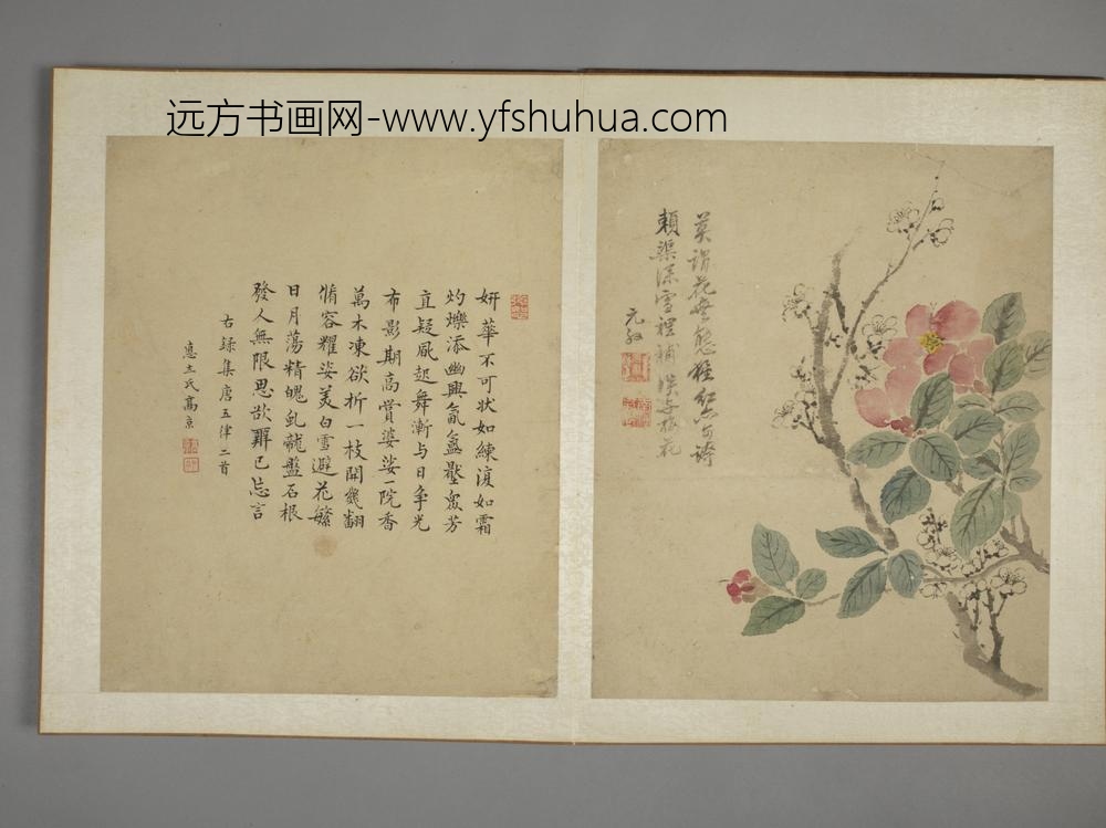清-马元驭花鸟图册-