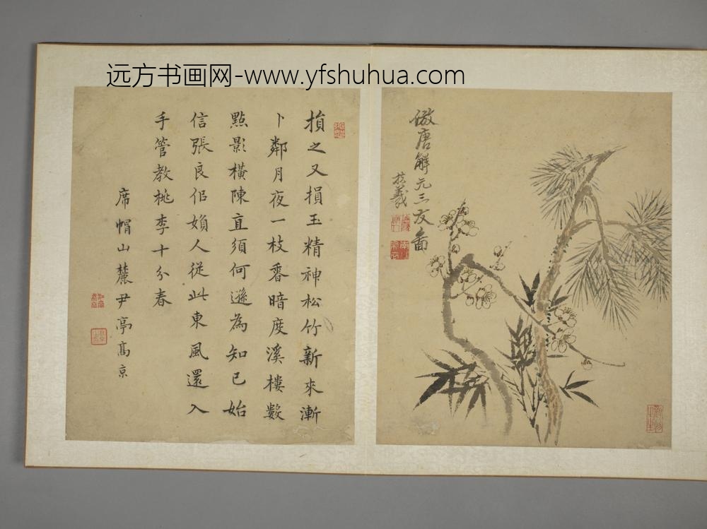 清-马元驭花鸟图册-