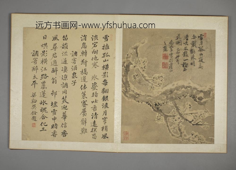 清-马元驭花鸟图册-