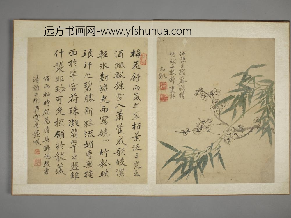 清-马元驭花鸟图册-