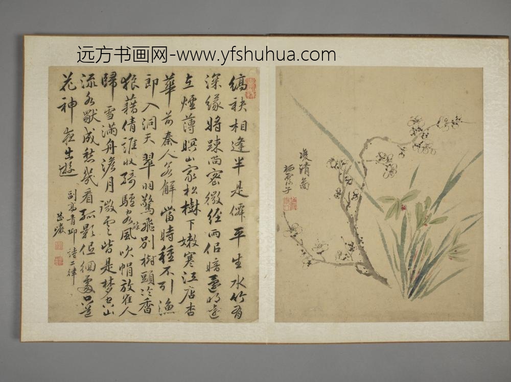 清-马元驭花鸟图册-
