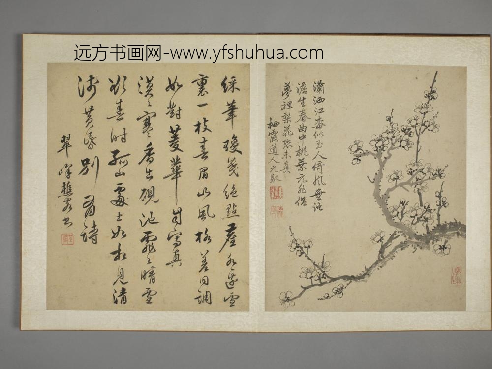 清-马元驭花鸟图册-
