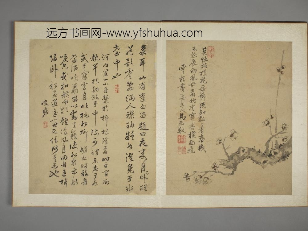 清-马元驭花鸟图册-