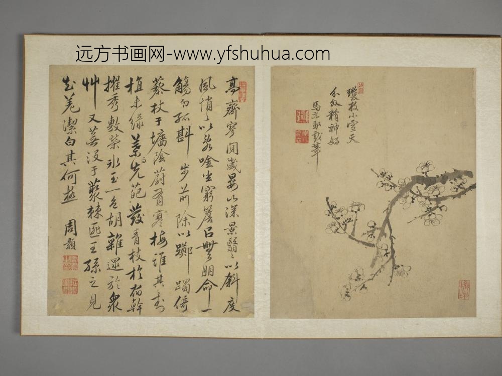 清-马元驭花鸟图册-