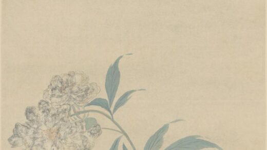 清 骆绮兰芍药图轴.jpg