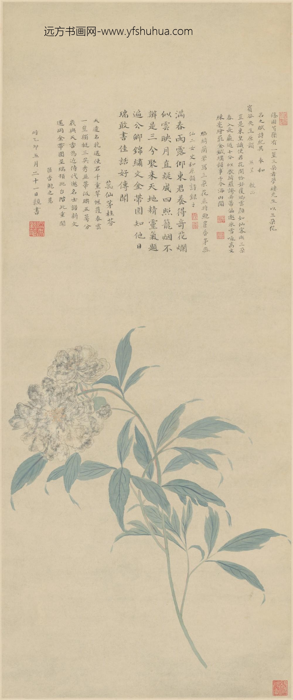 清-骆绮兰芍药图轴