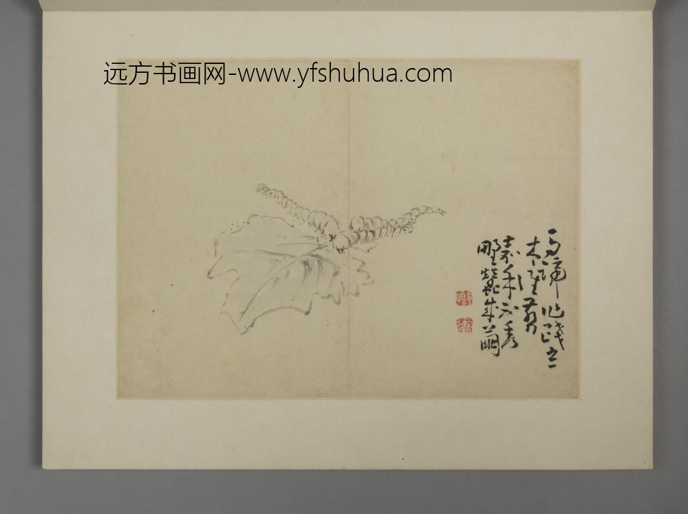 清-黄慎别有风味册-