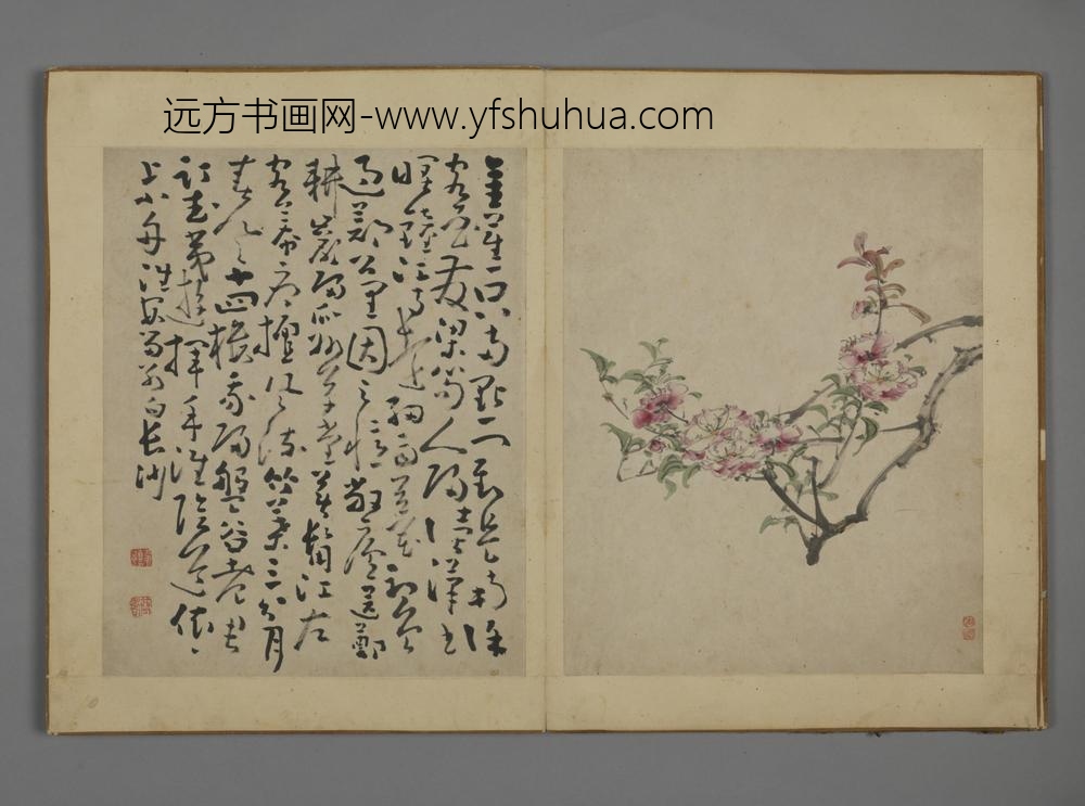 清-黄慎花卉图册-