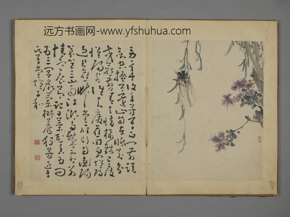 清-黄慎花卉图册-