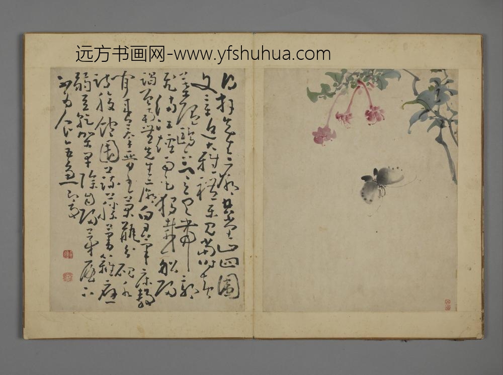 清-黄慎花卉图册-