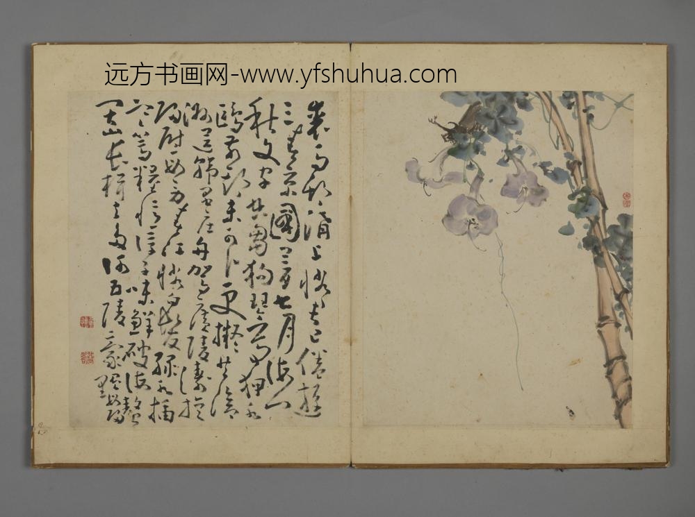 清-黄慎花卉图册-