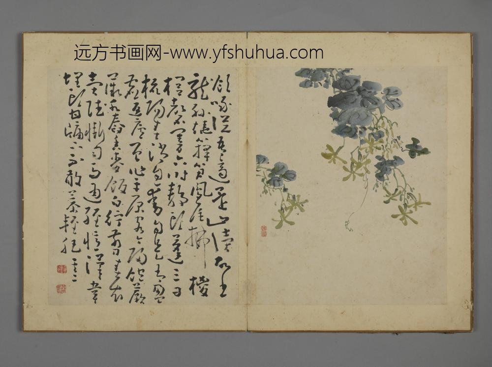 清-黄慎花卉图册-