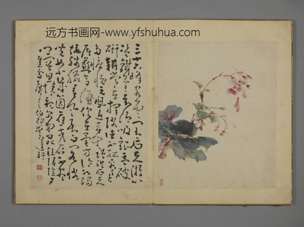 清-黄慎花卉图册-