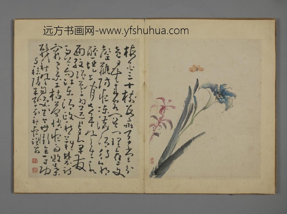 清-黄慎花卉图册-