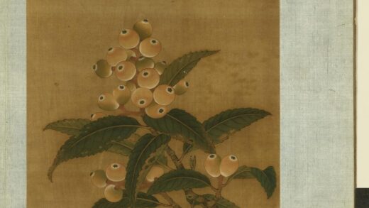 清无款花鸟画册册 枇杷.jpg