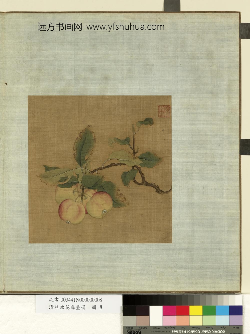 清无款花鸟画册册-林檎