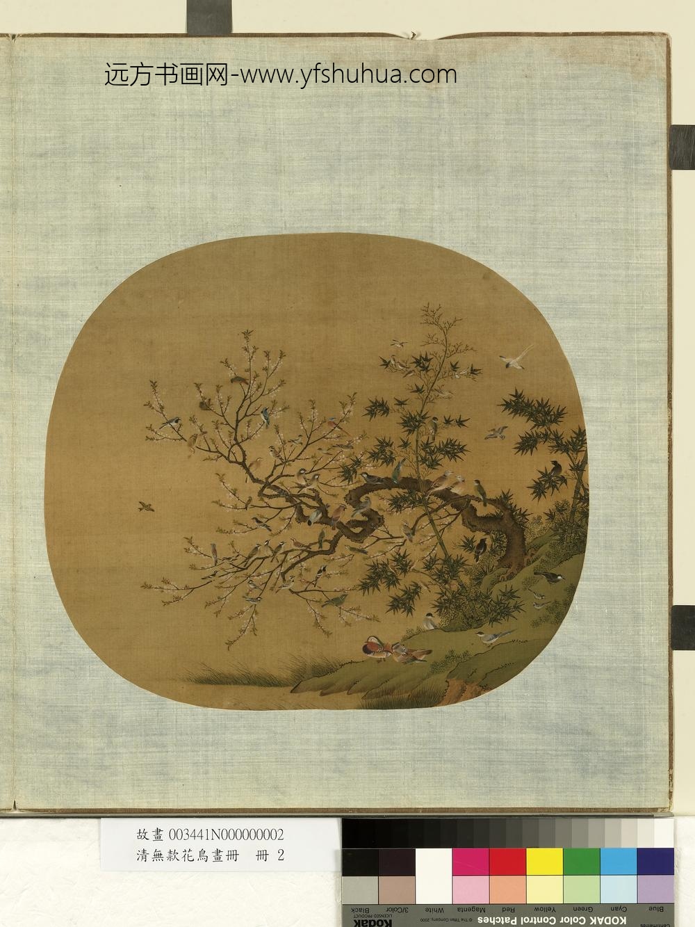 清无款花鸟画册册-桃鸟