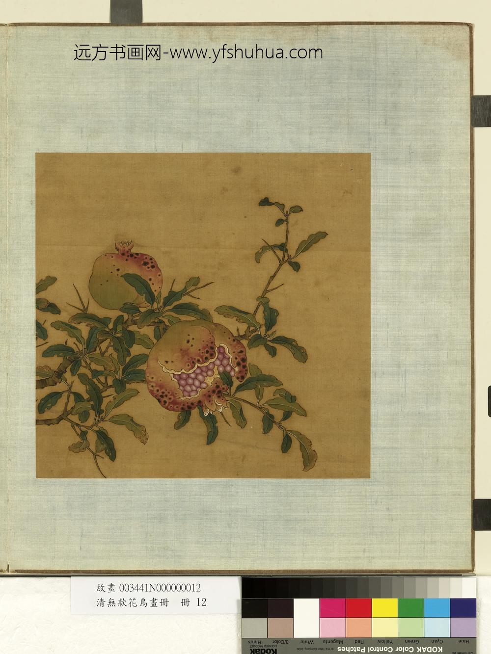 清无款花鸟画册册-石榴