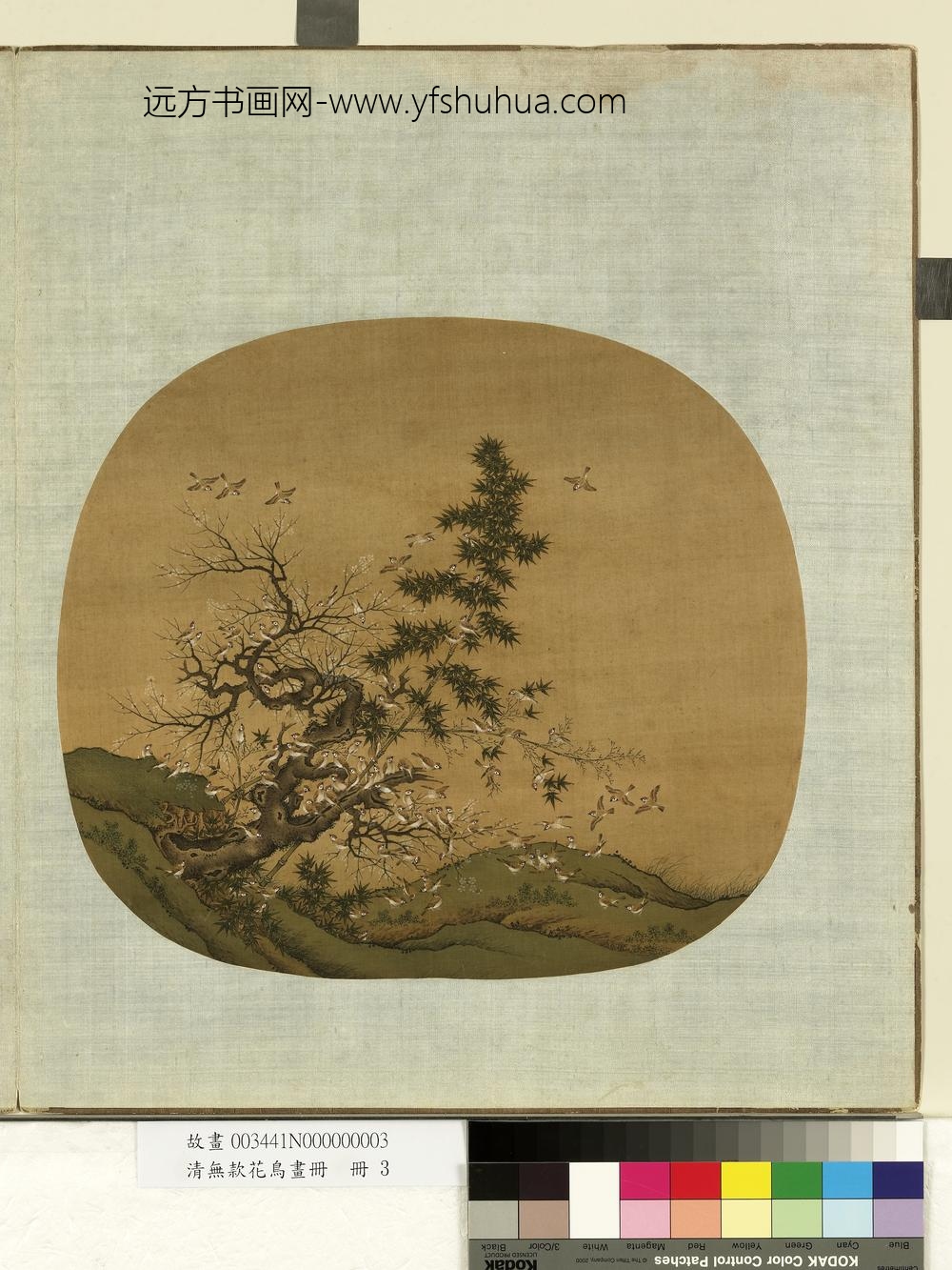 清无款花鸟画册册-竹雀