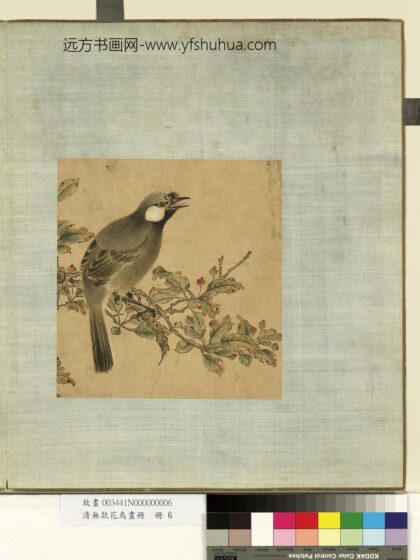 清无款花鸟画册册 笑鸫.jpg