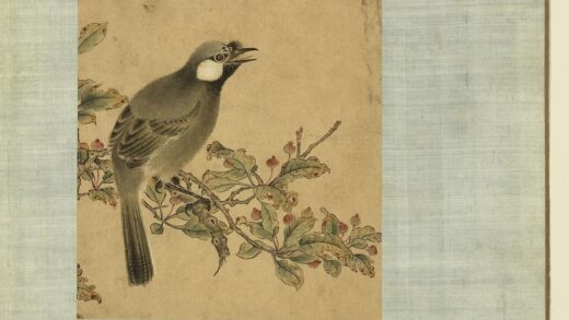清无款花鸟画册册 笑鸫.jpg