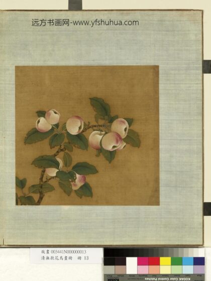 清无款花鸟画册册 苹婆.jpg