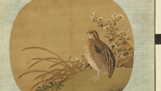 清无款花鸟画册册 菊草.jpg