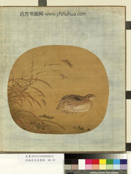 清无款花鸟画册册 鹌鹑.jpg
