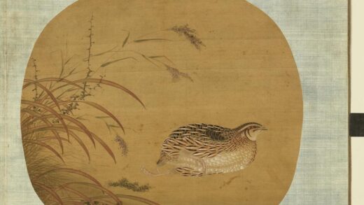 清无款花鸟画册册 鹌鹑.jpg