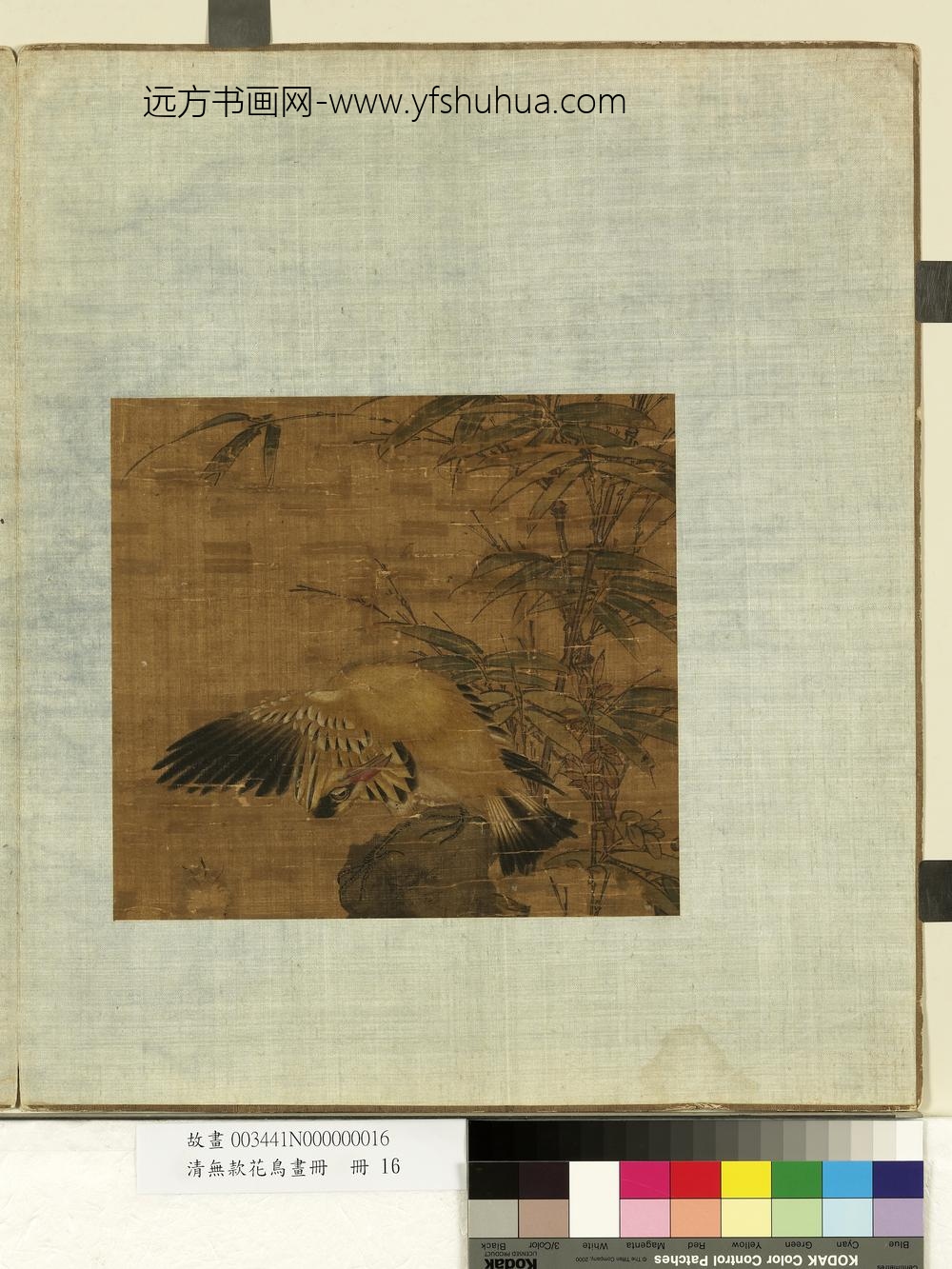 清无款花鸟画册册-黄鹂