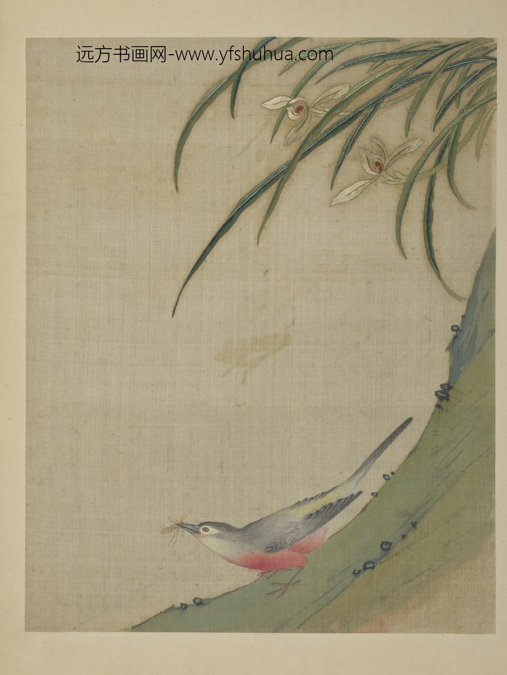 清绣绘花鸟册-丛兰山雀