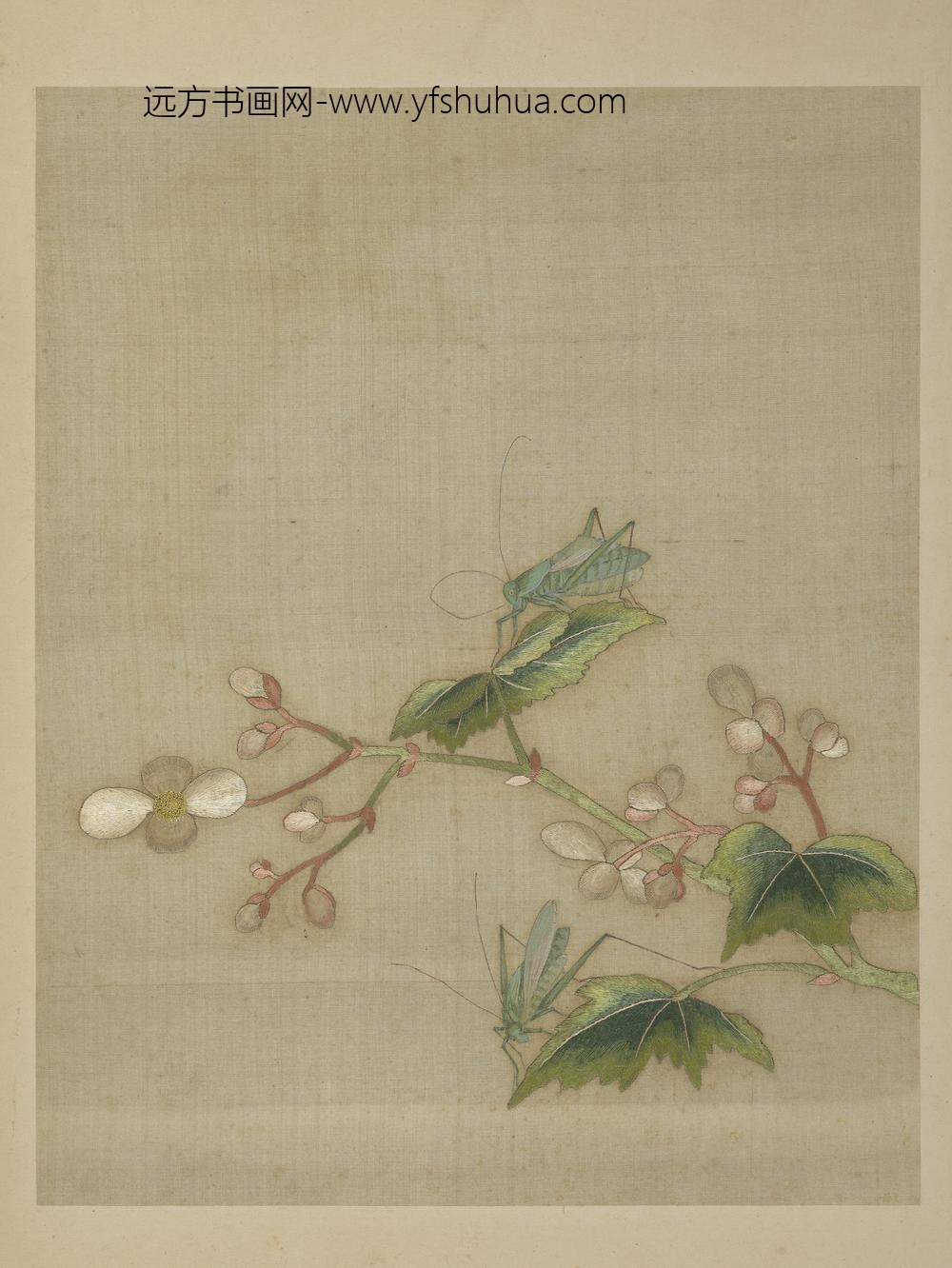 清绣绘花鸟册-秋艳鸣虫