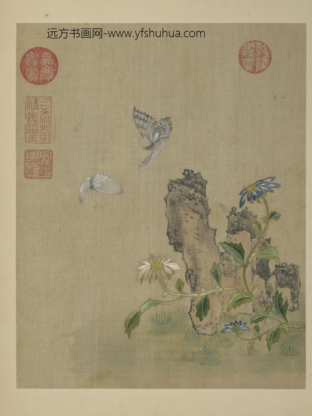 清绣绘花鸟册-菊花飞蝶