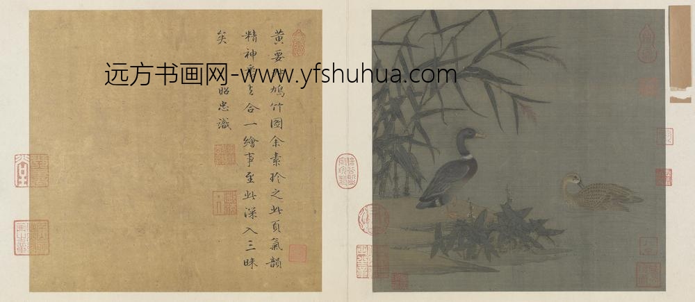 溪芦野鸭图页