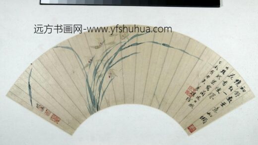 王玉燕兰花图扇页.jpg
