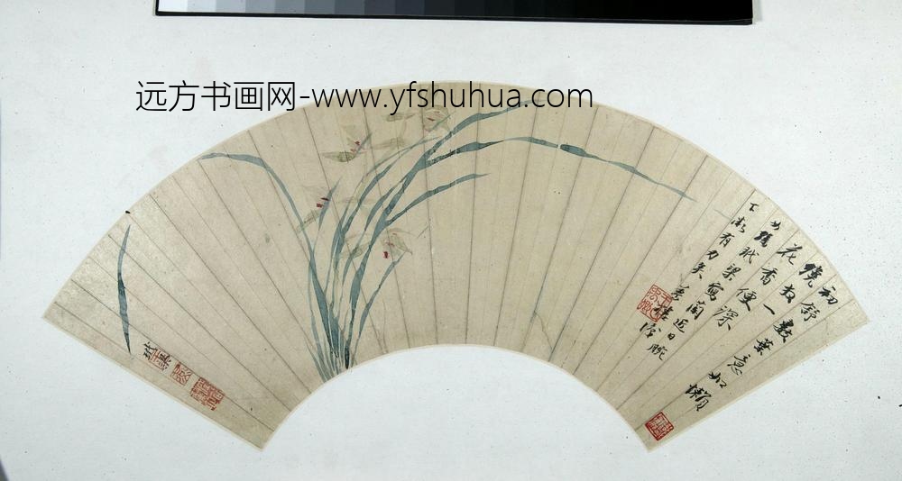 王玉燕兰花图扇页