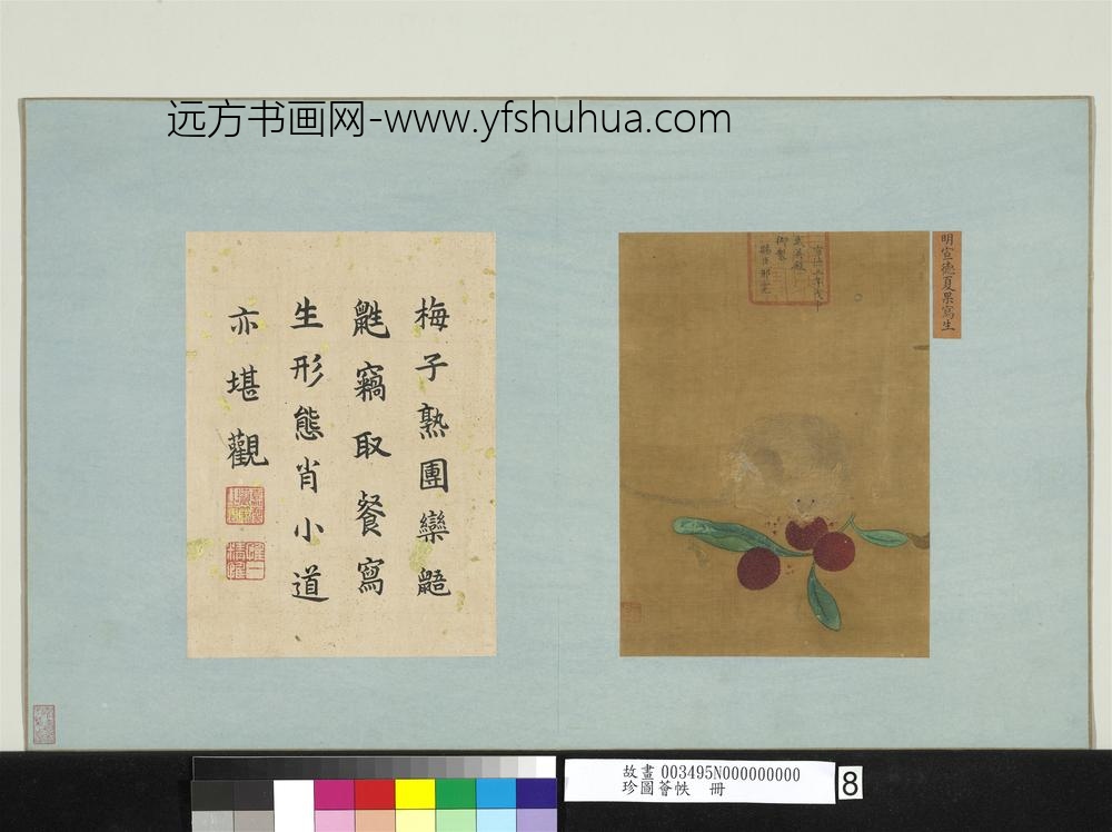 珍图荟帙册-明宣宗夏果写生