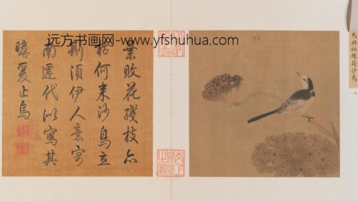 疏荷沙鸟图页.jpg