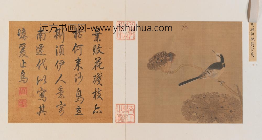 疏荷沙鸟图页