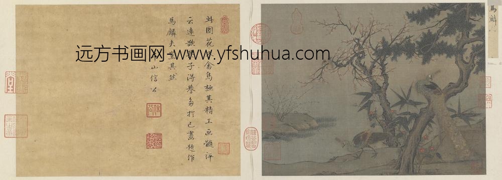 红梅孔雀图页