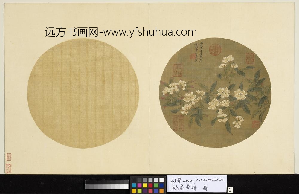 纨扇画册册-明曹妙清折枝花卉