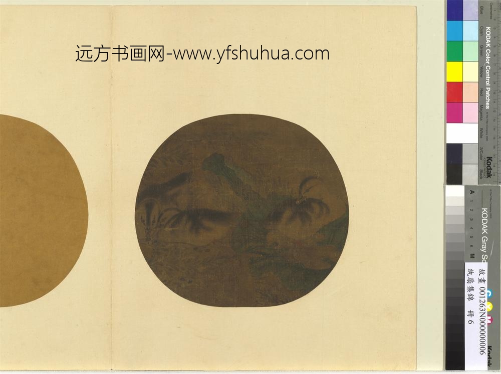 纨扇集锦册-莲塘睡凫